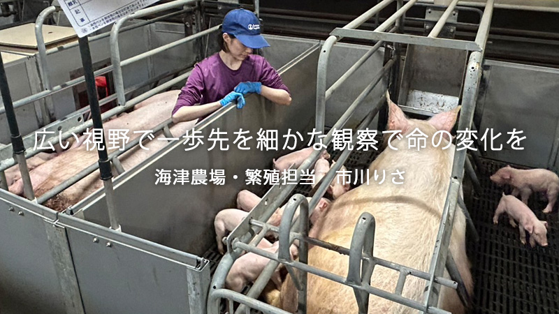 海津農場・繁殖担当：市川りさ