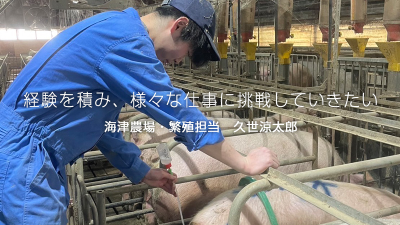 海津農場・繁殖担当：久世涼太郎